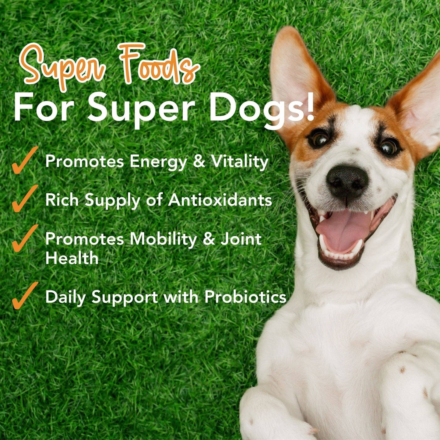 Super-Greens: Vitamin, Mineral & Probiotic Supplement for Dogs with Spirulina, Kelp, Green Tea, Spinach, Chlorella, & Brocolli Sprouts - 90 Scoops -Faire