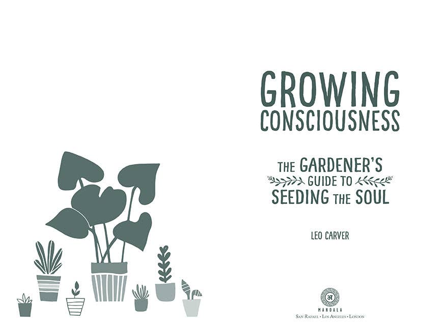 Growing Consciousness