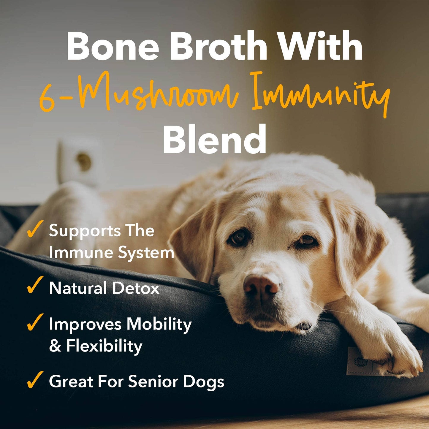 IHeartDogs Mushroom Bone Broth For Dogs Immune Support Powder - 90 scoops - Faire