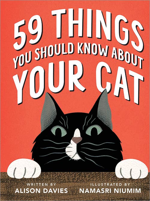 59 Things You Should Know About Your Cat