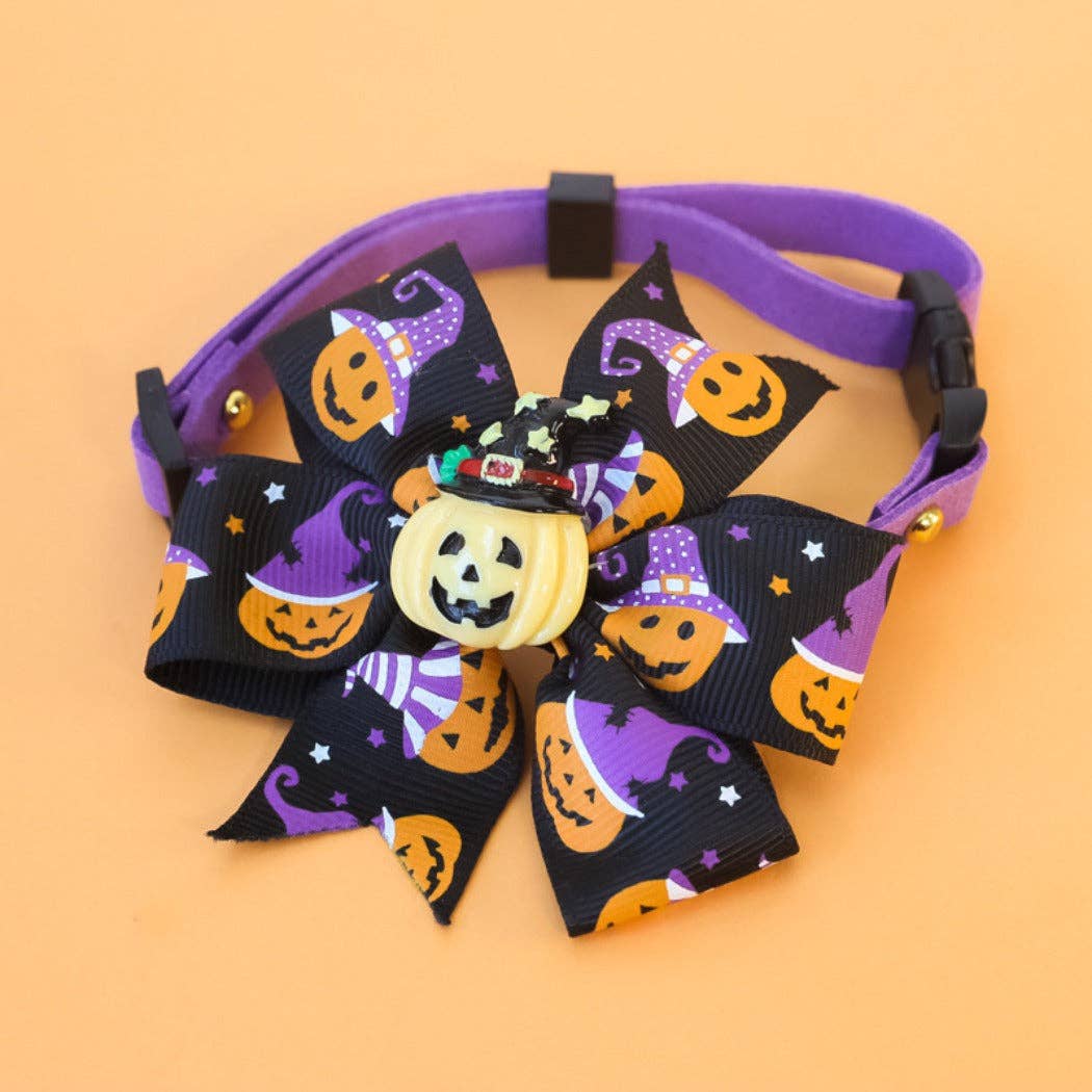 Clearance- Spooky Halloween Pet Collar