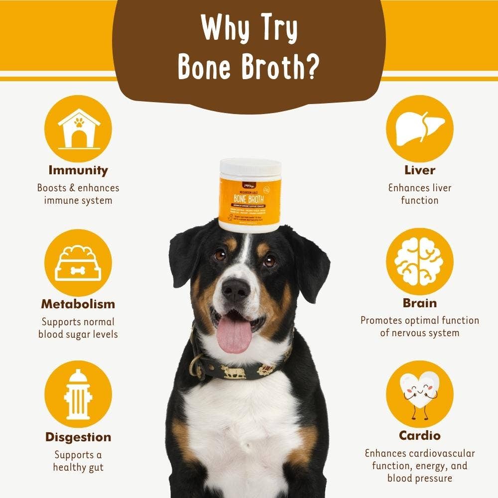 IHeartDogs Mushroom Bone Broth For Dogs Immune Support Powder - 90 scoops - Faire